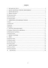 Įmonės „Siuvlita“ verslo planas 2 puslapis