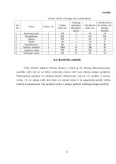 Įmonės „Siuvlita“ verslo planas 11 puslapis