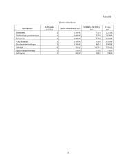 Įmonės „Siuvlita“ verslo planas 13 puslapis