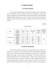 Įmonės „Siuvlita“ verslo planas 15 puslapis