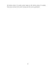 Įmonės „Siuvlita“ verslo planas 16 puslapis