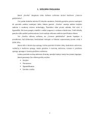 Įmonės „Siuvlita“ verslo planas 3 puslapis