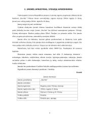 Įmonės „Siuvlita“ verslo planas 4 puslapis