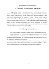 Įmonės „Siuvlita“ verslo planas 10 puslapis