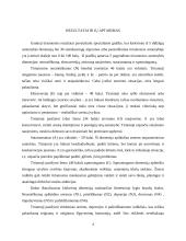 NEO PI-R praktikos darbas 4 puslapis