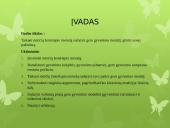 Gero gyvenimo modelis  2 puslapis