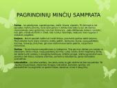 Gero gyvenimo modelis  11 puslapis