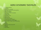 Gero gyvenimo modelis  3 puslapis