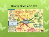 Gero gyvenimo modelis  7 puslapis