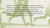 Laisvalaikio poreikiai ir jų tenkinimas sporte 7 puslapis