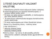 Žmogaus teisių ir laisvių klasifikacija 12 puslapis