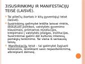 Žmogaus teisių ir laisvių klasifikacija 14 puslapis