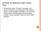 Žmogaus teisių ir laisvių klasifikacija 17 puslapis