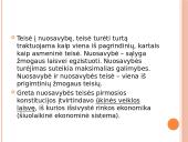 Žmogaus teisių ir laisvių klasifikacija 20 puslapis
