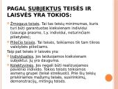 Žmogaus teisių ir laisvių klasifikacija 6 puslapis
