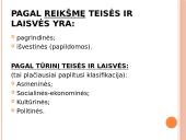 Žmogaus teisių ir laisvių klasifikacija 7 puslapis