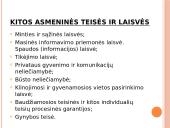 Žmogaus teisių ir laisvių klasifikacija 10 puslapis