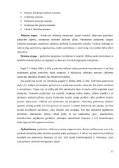 Mažmeninės prekybos organizacijos pardavimų valdymas 13 puslapis