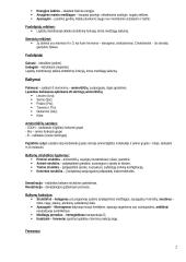 Biologijos konspektas 11-12 klasė 2 puslapis