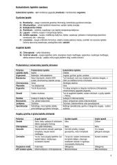 Biologijos konspektas 11-12 klasė 4 puslapis