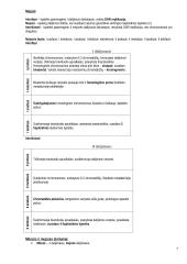 Biologijos konspektas 11-12 klasė 7 puslapis
