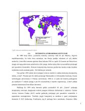 Interneto istorija 4 puslapis