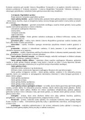 Kadastrinių matavimų savarankiškas darbas 11 puslapis