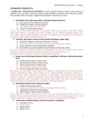 Mikroekonomikos namų darbas. 1 variantas 2 puslapis