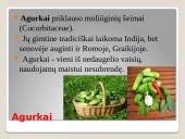 Lauko agurkai 2 puslapis