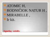 Lauko agurkai 3 puslapis