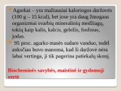 Lauko agurkai 4 puslapis