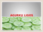 Lauko agurkai 7 puslapis