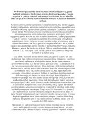 Tarpukario Kaunas 2 puslapis