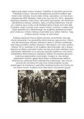 Tarpukario Kaunas 3 puslapis