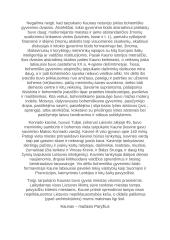 Tarpukario Kaunas 4 puslapis