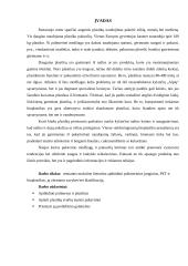 Polimeriniai junginiai maisto pakavimui, pet, bioplastikai 3 puslapis