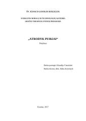 Grožio paslaugų projektas