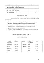 Grožio paslaugų projektas 6 puslapis