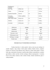 Grožio paslaugų projektas 8 puslapis