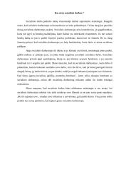 Socialinio darbo istorija, pagrindai 3 puslapis