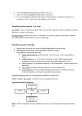 Vadybos teorijos konspektas 3 puslapis