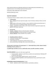 Vadybos teorijos konspektas 7 puslapis