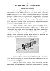 Rotorinis vidaus degimo variklis ir jo veikimas 4 puslapis