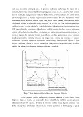 Rotorinis vidaus degimo variklis ir jo veikimas 6 puslapis