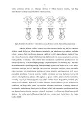 Rotorinis vidaus degimo variklis ir jo veikimas 9 puslapis