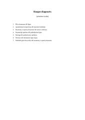 Terapinės slaugos praktika 11 puslapis