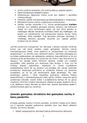 UAB „ALTAS komercinis transportas“ veiklos analizė ir valdymas 8 puslapis