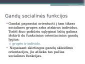 Gandai ir jų socialinės pasekmės 7 puslapis