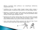 Kūjo metimas 11 puslapis