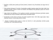 Kūjo metimas 5 puslapis